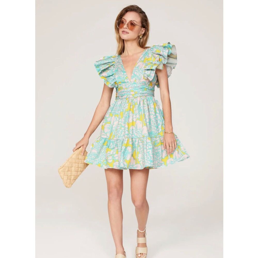 NWT Hutch Flutter Sleeve Raffia Dress with Pockets size S - Picture 3 of 11